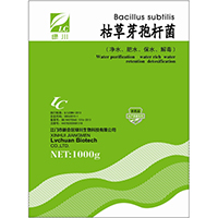 枯草芽孢杆菌